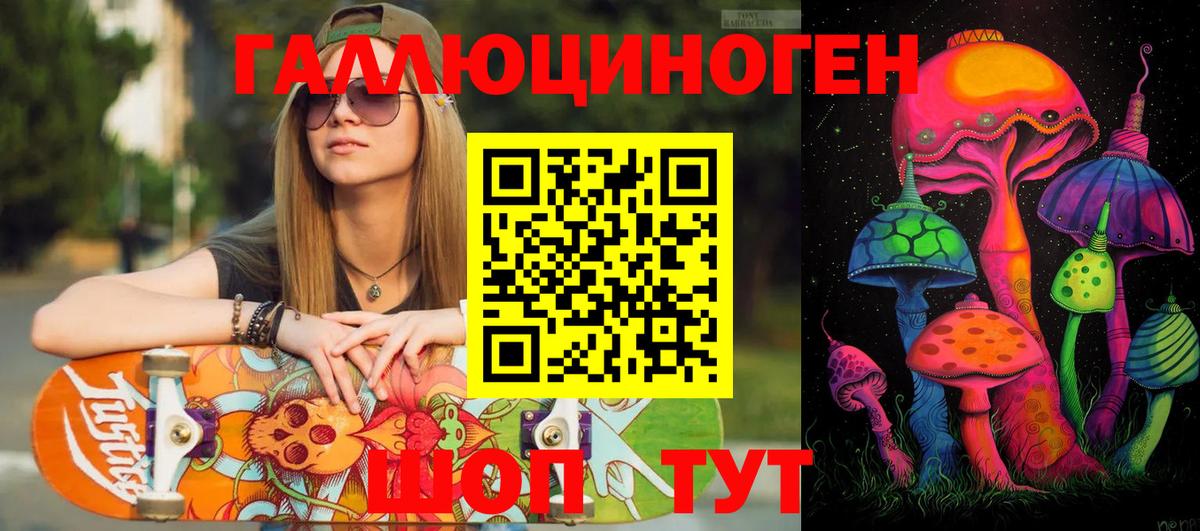 Бердск  Псилоцибиновые грибы Psilocybe  Вход с VPN 